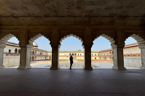 Agra: 3-Day Guided Tour with Agra Fort & Wildlife SOS