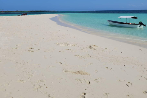 Fullday Pungume island and sandbanklunch