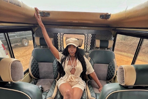 Tour del Parco Nazionale di Nairobi.