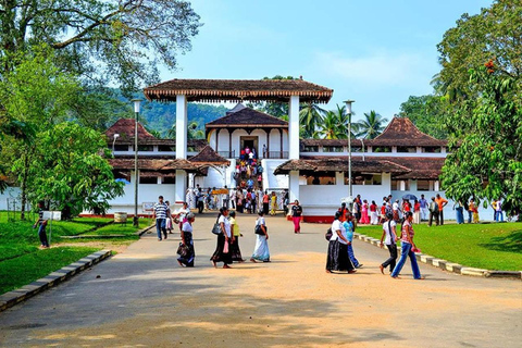 From Colombo/Negombo: Ratnapura Gem City & Waterfalls Tour