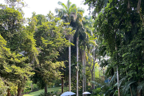 Cartagena: Guided Experience in the Botanical Garden