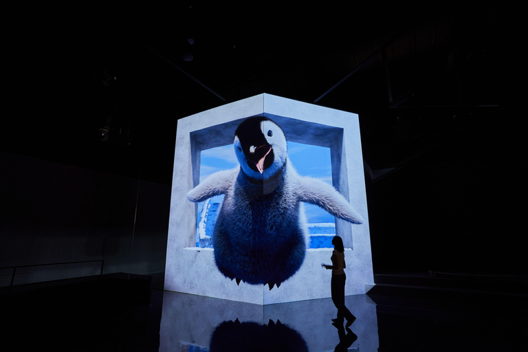 Paju: Museum HEI Immersive Media Art Exhibition Entry Ticket