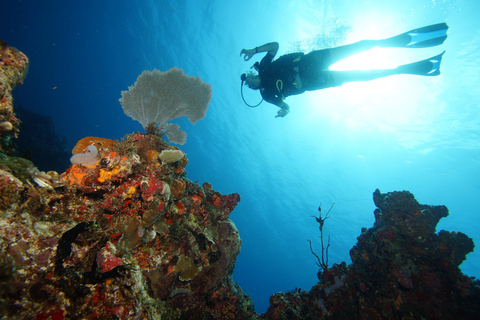 CANCUN: 2T REEF DIVES FOR CERTIFIED DIVERS