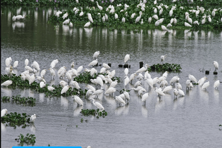 Hangzhou: Xixi Fisherman Tour – Heritage Fishing & Farming