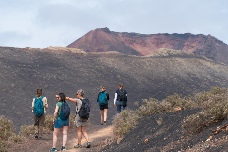 Lanzarote: Guided Hike discover volcano history and culture