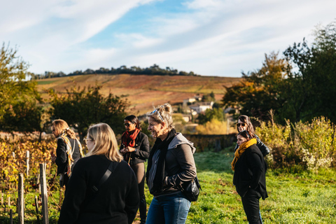 De Lyon: Visita ao vinho da região de Beaujolais com degustaçõesDe Lyon: Tour de vinhos da região de Beaujolais com degustações