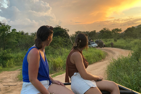 Sigiriya: Rock Hike, Elephant Safari & Polonnaruwa City Tour