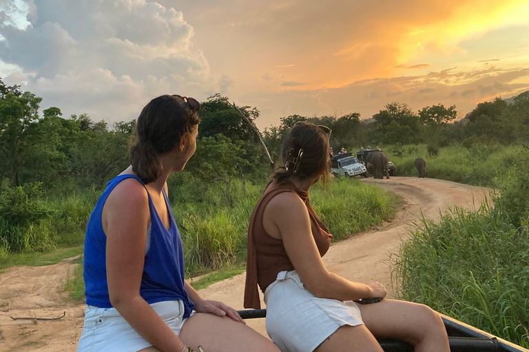 Sigiriya: Rock Hike, Elephant Safari & Polonnaruwa City Tour