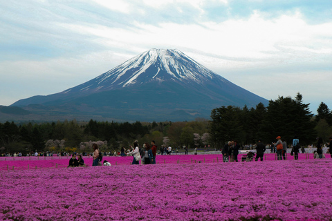 Tokyo: Private Mount Fuji Tour with Pickup and Drop-Off