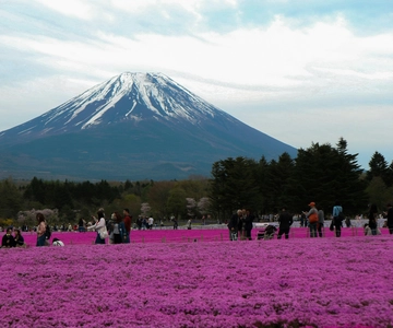 Tokyo: Private Mount Fuji Tour with Pickup and Drop-Off