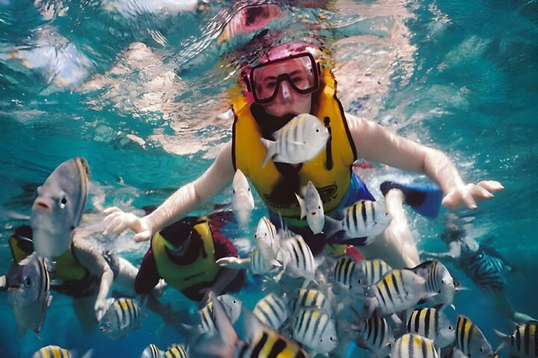 Padang Bai Snorkeling Trip with Lunch and Local Guide