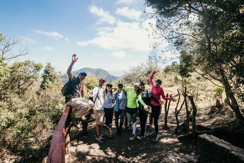 Pacaya Volcano Vistas + Pizza Cooked Under Volcanic Heat