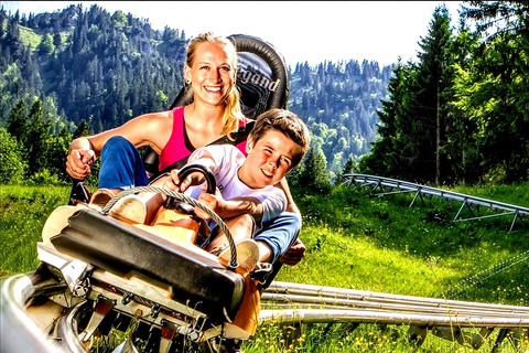Neuschwanstein Bus Tour with Oberammergau or Alpine Coaster