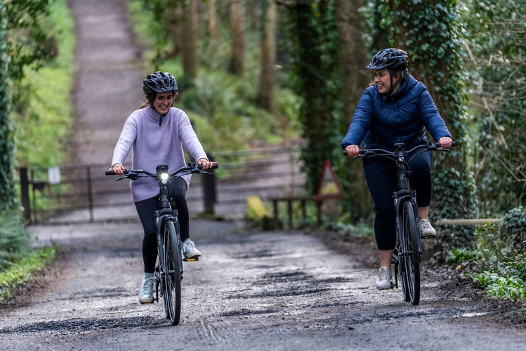 Belfast: E-Bike Rental Belfast: E-Bike Rental (Full Day)