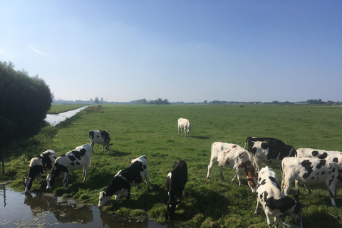 Rotterdam: corazón verde Midden-Delfland: Tour en barco de lujo
