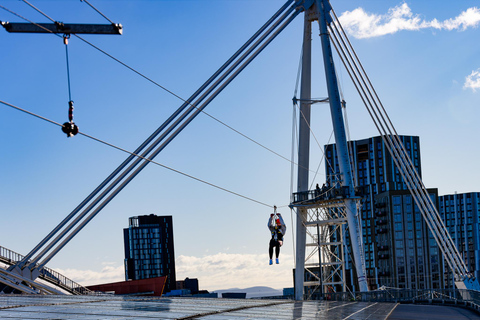 Cardiff: Principality Stadium Zip Line Adult or Child