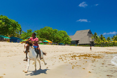 Natadola Beach Tour With Mudpool And Hotspring Lautoka Hotels / Queen Elizabeth docking (Lautoka Wharf)