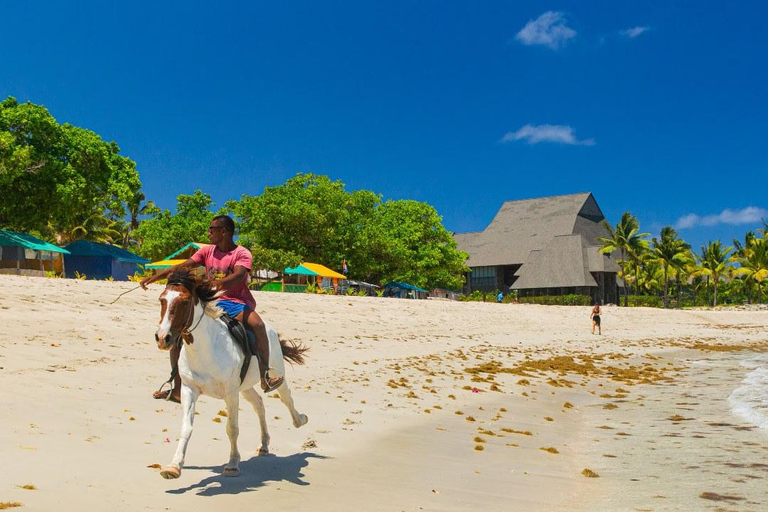 Natadola Beach Tour With Mudpool And Hotspring Lautoka Hotels / Queen Elizabeth docking (Lautoka Wharf)