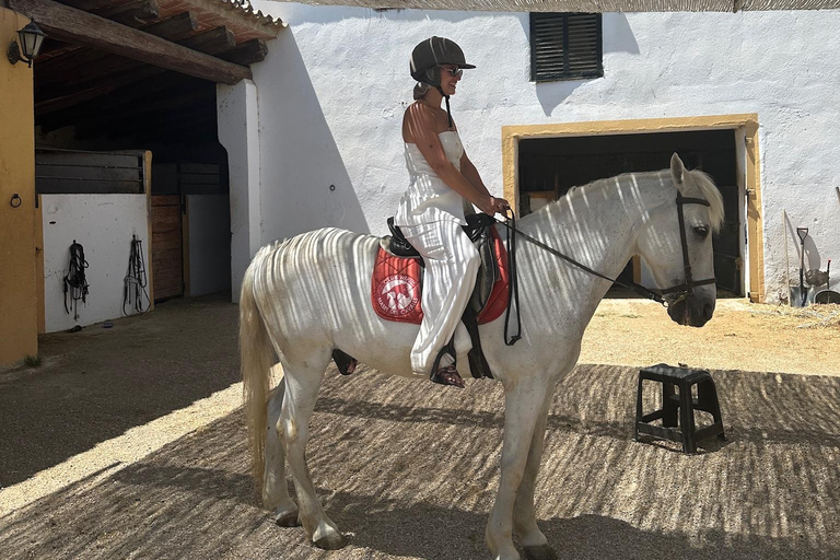 Alicante: Private Horseback Ride & Picnic with Transfer