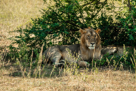 3-Days Murchison Falls National Park