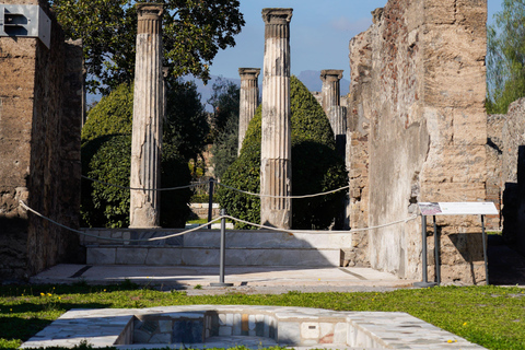 From Sorrento: Pompeii Skip-the-Line, Train Tkt & Tour