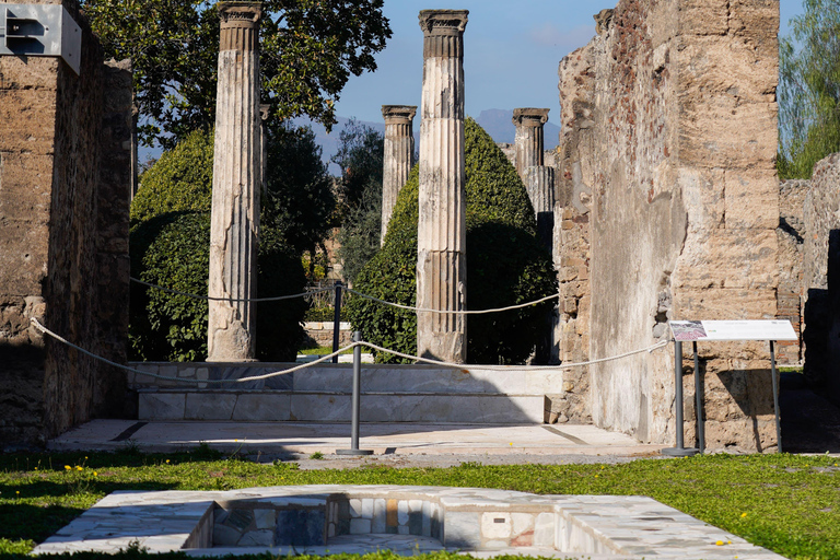 From Sorrento: Pompeii Skip-the-Line, Train Tkt & Tour