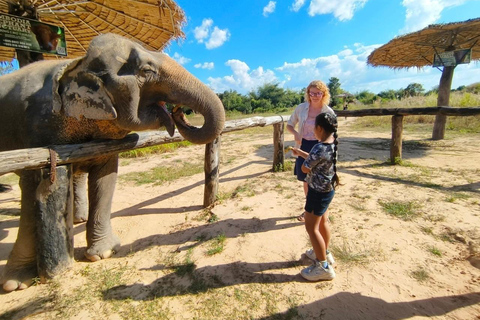 Siem Reap: Elephant Sanctuary Cambodia, Pickup and Drop Off