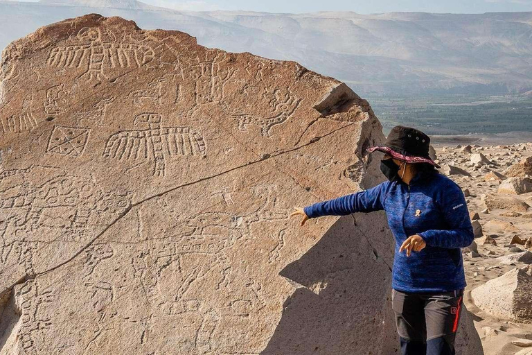 Arequipa:Dead Bull Petroglyphs, Querulpa Park and Chancharay