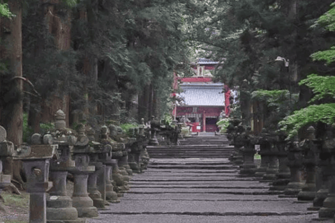 From Tokyo: Mt. Fuji Views Private Customize Itinerary Tour
