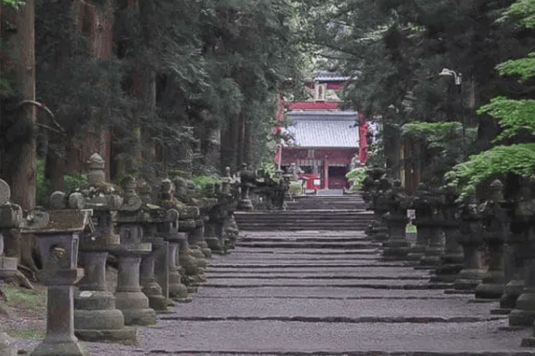From Tokyo: Mt. Fuji Views Private Customize Itinerary Tour