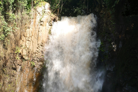 Addis Abeba - Park Narodowy Chebera Cherchura - 4 dniPrzygoda z przyrodą - Park Narodowy Chebera Cherchura 4 dni