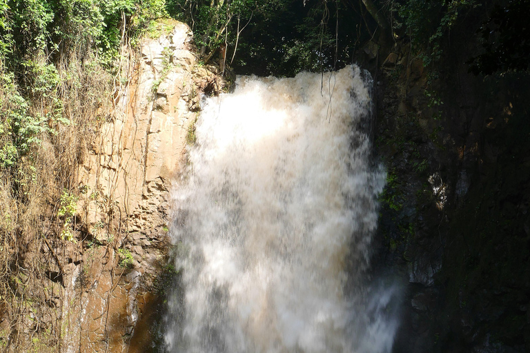 Addis Abeba - Park Narodowy Chebera Cherchura - 4 dniPrzygoda z przyrodą - Park Narodowy Chebera Cherchura 4 dni