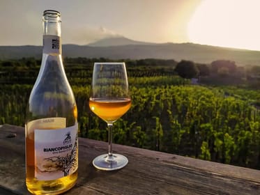 From Taormina: Mount Etna and Wine Full-Day Tour with Lunch