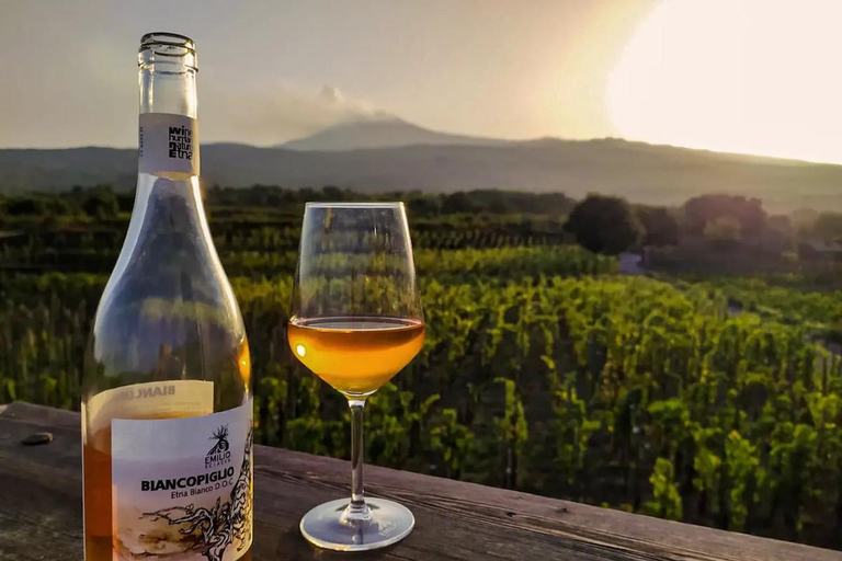 From Taormina: Mount Etna and Wine Full-Day Tour with Lunch Tour in English