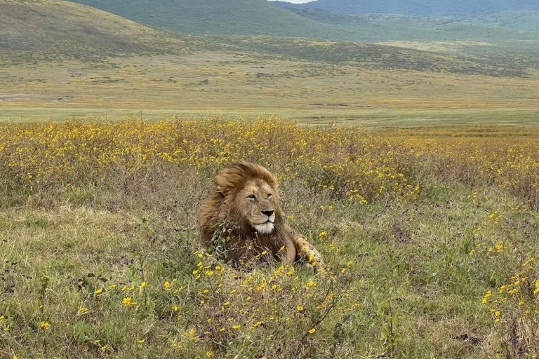 5Day Safari Tarangire, Serengeti,Ngorongoro& Manyar Midrange