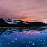 Svalbard : excursion photo privée en motoneige
