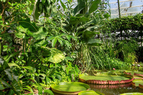 Oxford: ingresso para o Jardim Botânico