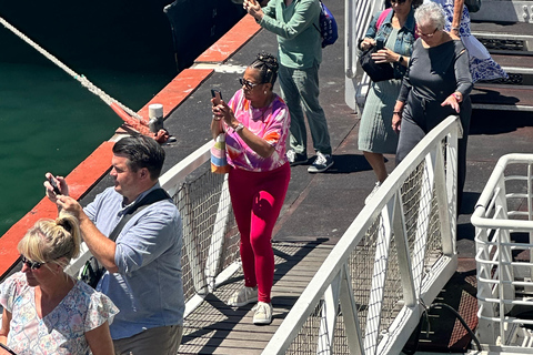 Kaapstad: Kaap de Goede Hoop &amp; Pinguïns Dagvullende tour met gids