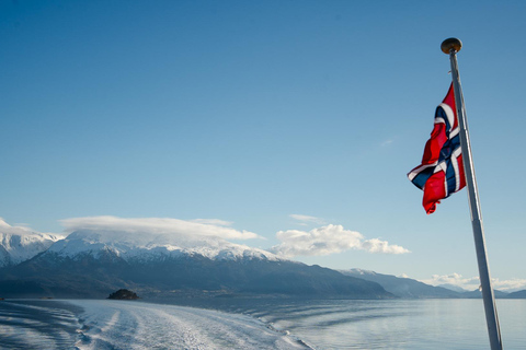 Bergen: Cruise to beautiful Rosendal by the Hardangerfjord