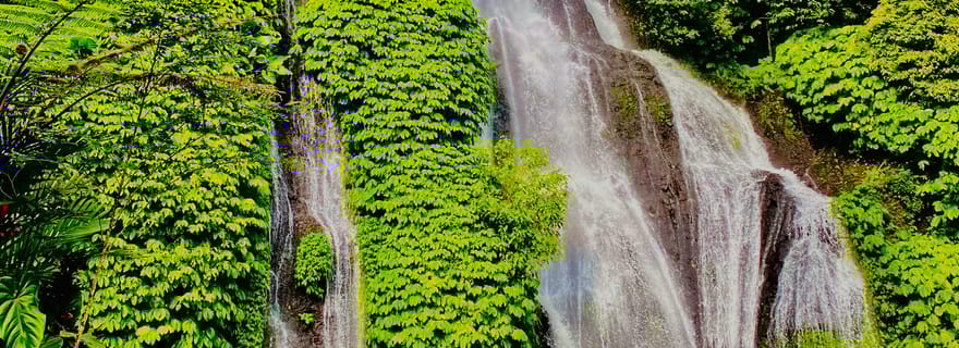 Explorez Munduk avec une excursion personnalisée de 8 heures dans le nord de Bali.