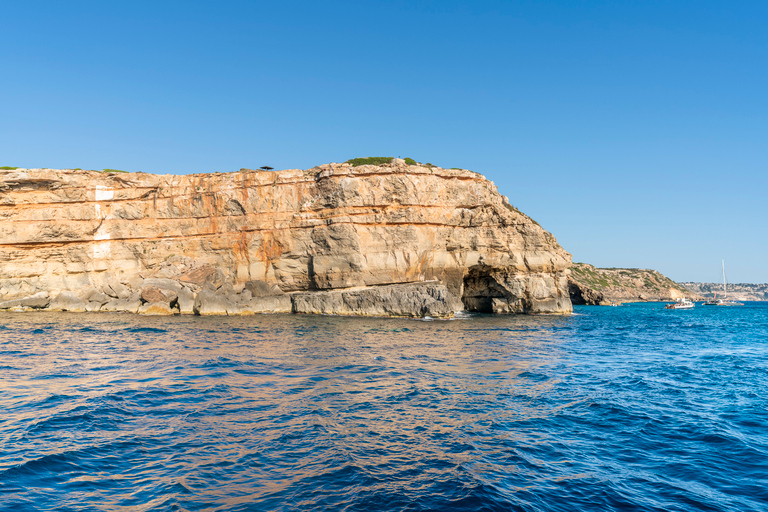 Baie de Palma : croisière en catamaranCroisière du matin