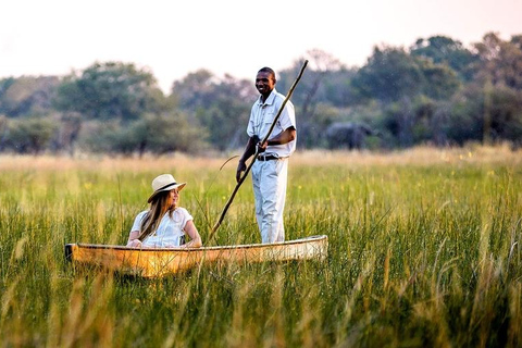 Okavango Delta: Mokoro Canoe Safari with Bush Walk