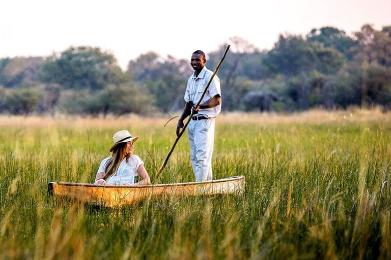 Okavango Delta: Mokoro Canoe Safari with Bush Walk