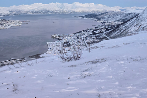 Tromsø: Fjellheisen Local Guided Hike
