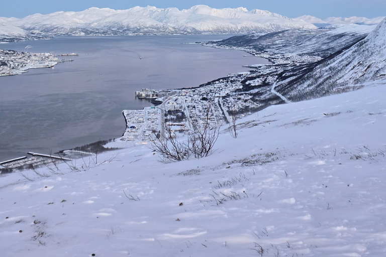 Tromsø: Fjellheisen Local Guided Hike