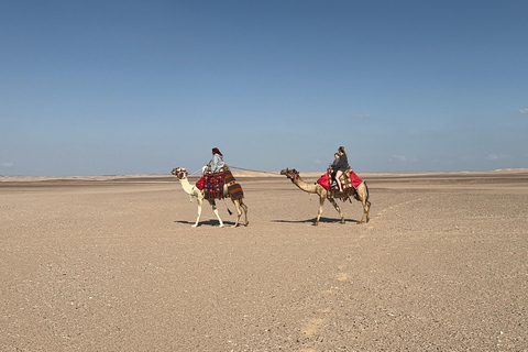 Hurghada: Camel Ride & horse ride and Off-Road Jeep Tour pickup from hotels inside hurghada