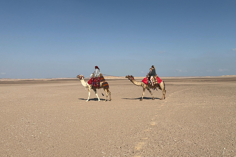 Hurghada: Camel Ride & horse ride and Off-Road Jeep Tour pickup from hotels inside hurghada