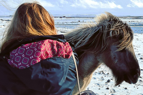 Reykjavik: Icelandic Horse Ride in Lava Fields – All Levels