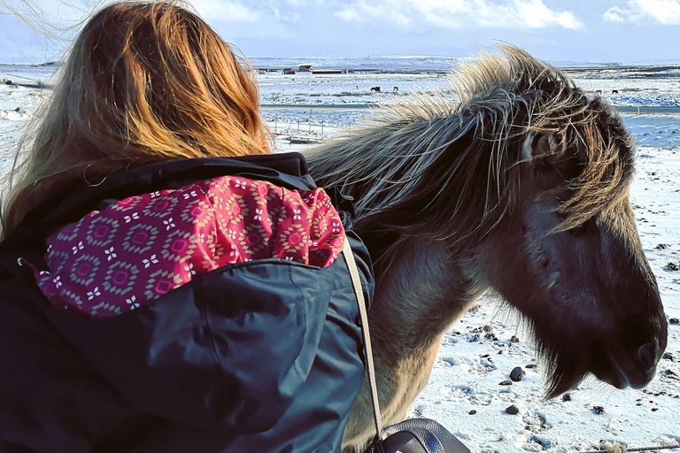 Reykjavik: Icelandic Horse Ride in Lava Fields – All Levels