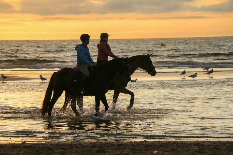 Saint Lucia: Horseback Ride and Off-Road Buggy Adventure